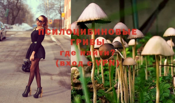 мяу мяу кристалл Вяземский