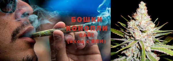 мяу мяу кристалл Вяземский