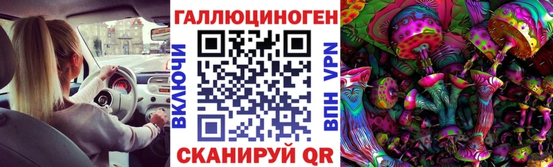 сколько стоит  Дербент  Галлюциногенные грибы GOLDEN TEACHER 